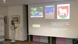 A nádszegi templom története