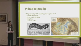 Kincskeresők – Az orvosi pióca a népgyógyászatban és manapság
