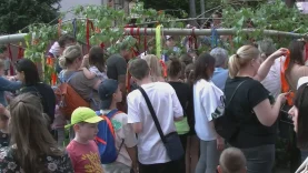 Májusfaállítási pillanatképek