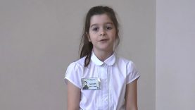 Cseh Zsófia