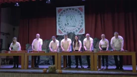 Dió héj citerazenekar