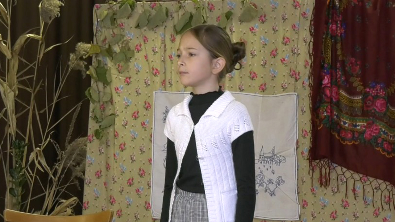 Bajnóczi Anna