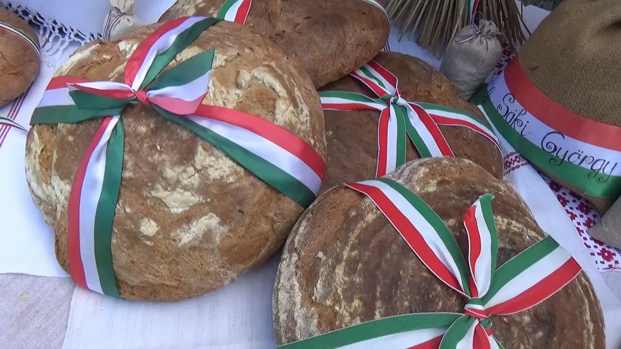 Szent István és az új kenyér ünnepe Bősön